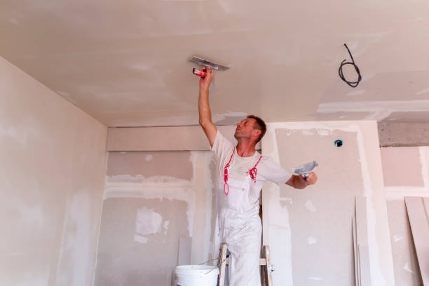 Best Drywall Installation  in Creighton, NE